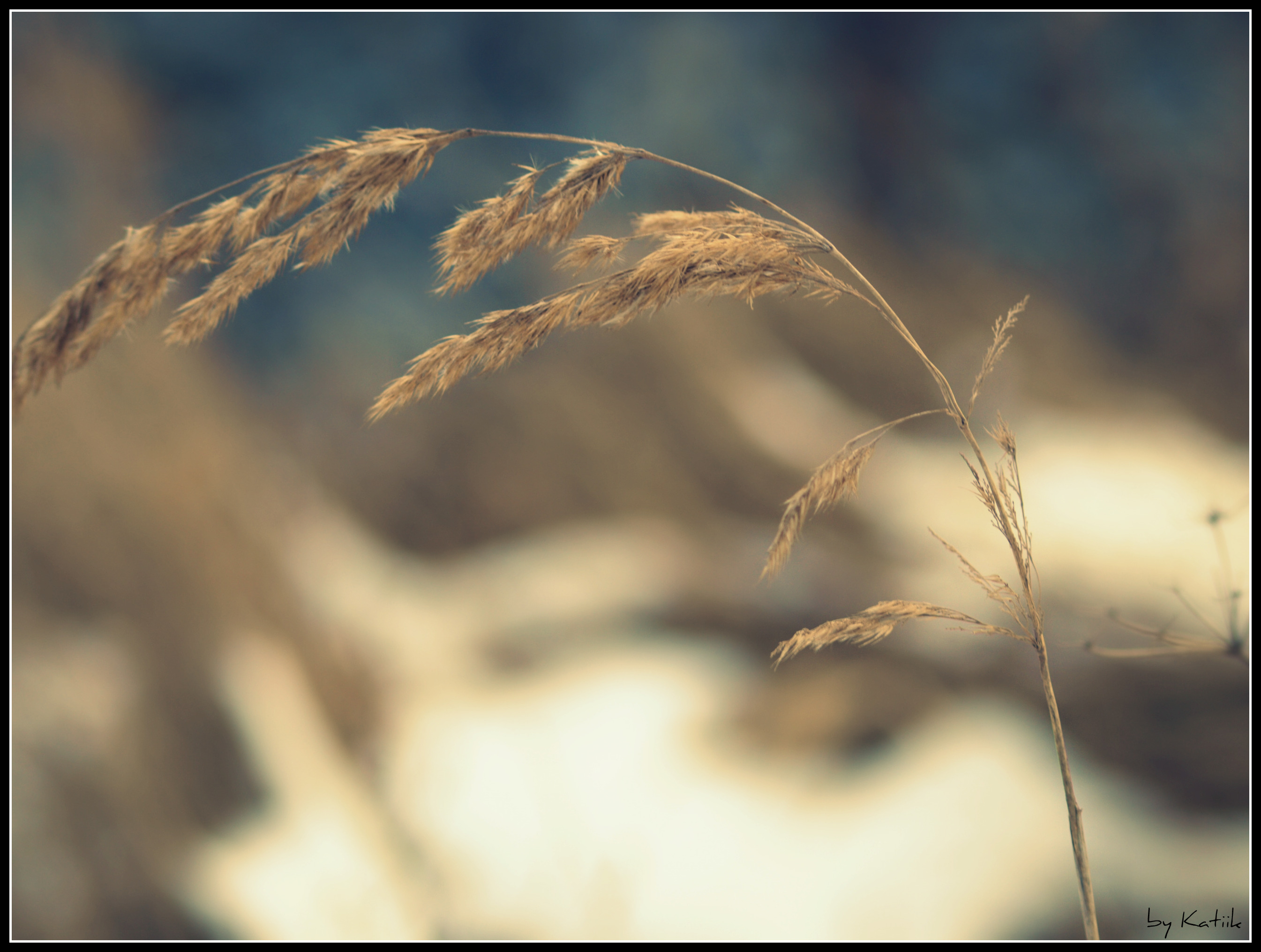 trava zase :)